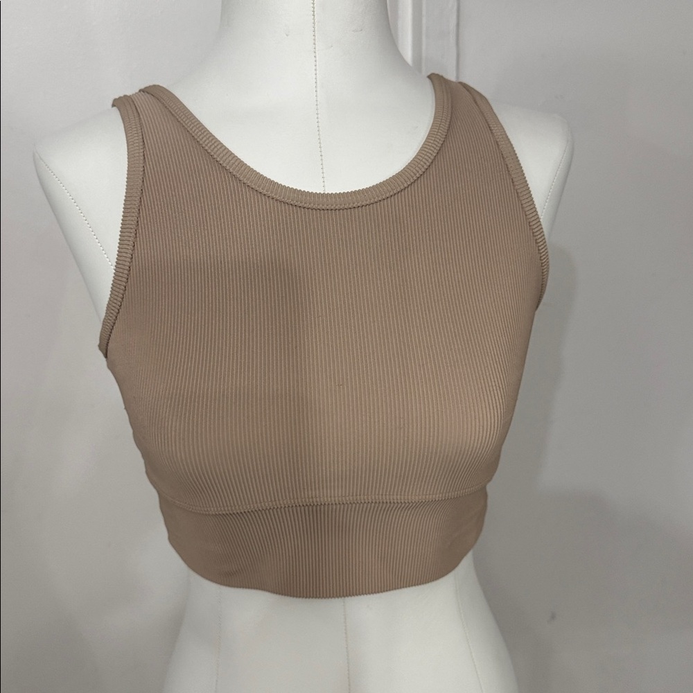 Strut this Tan Ribbed Crop Top - Picture 2 of 5